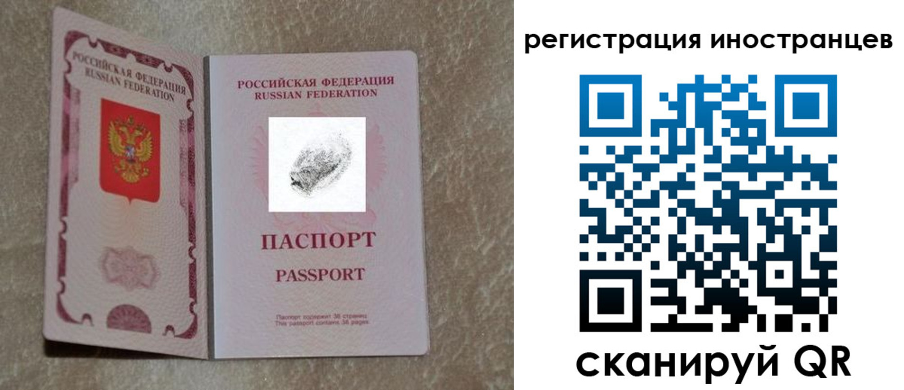 прописка законно в Алейске
